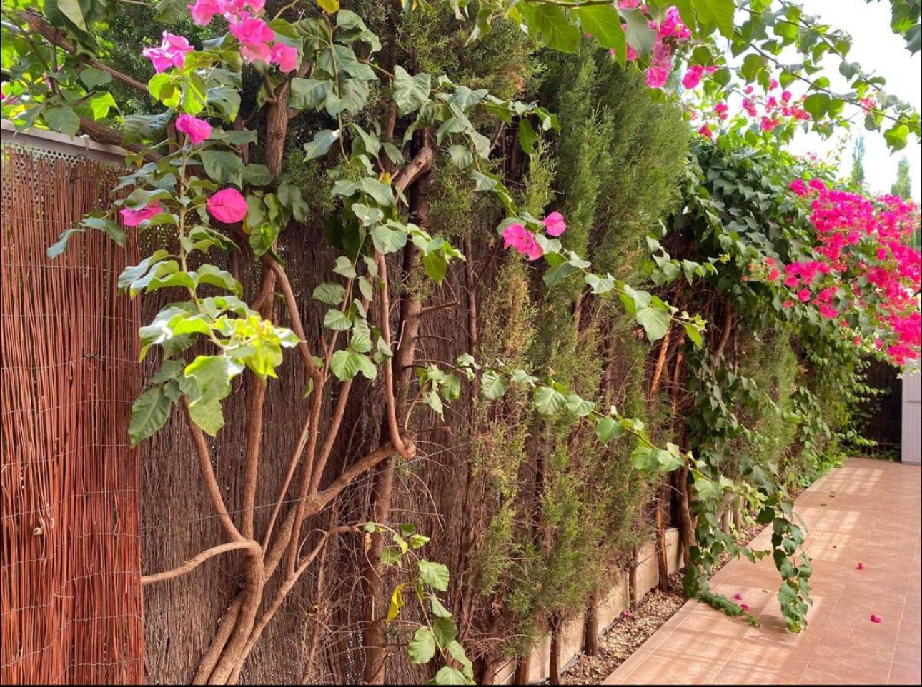 Arruzafa Home Cordoba Exterior photo