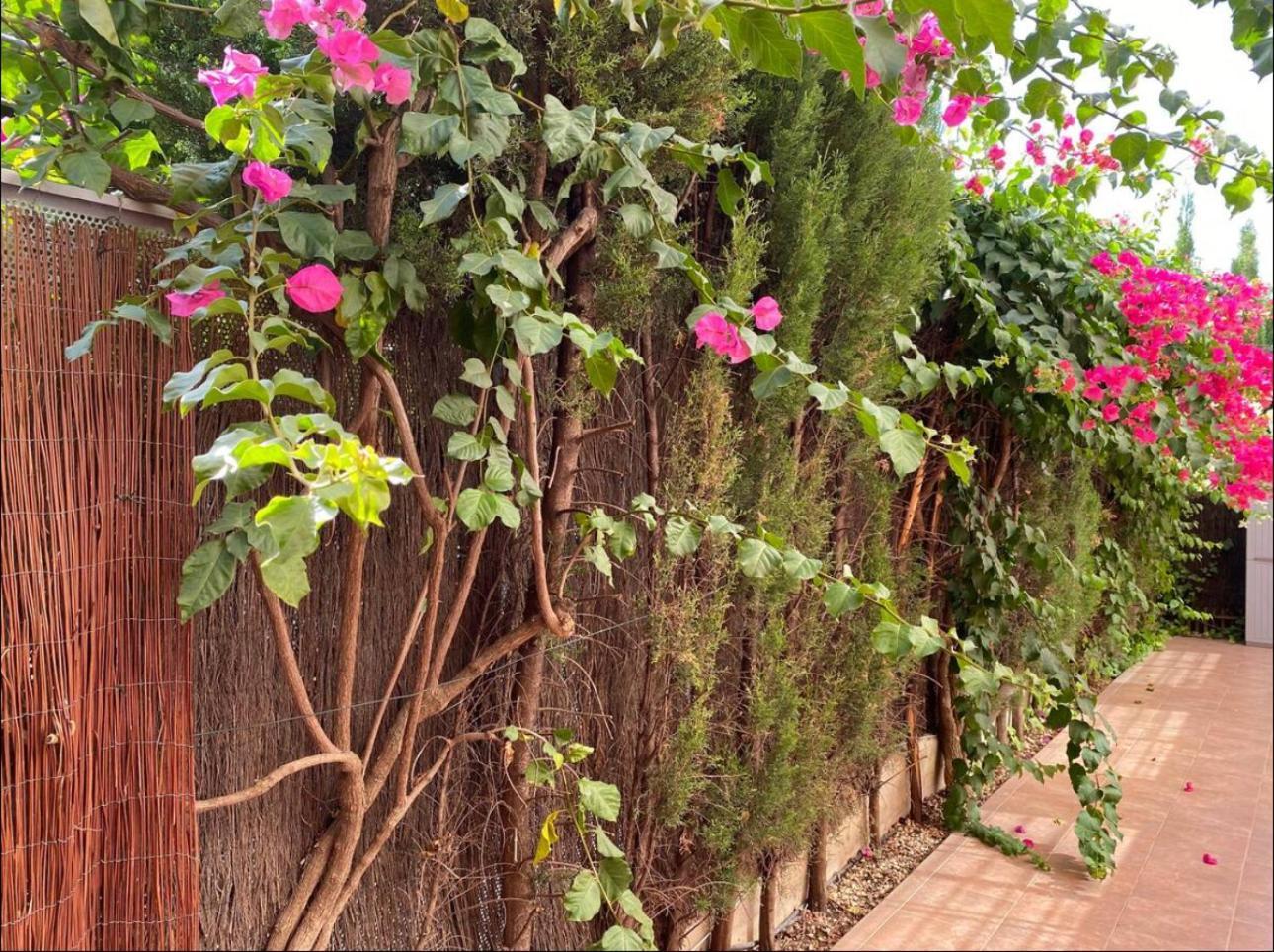 Arruzafa Home Cordoba Exterior photo